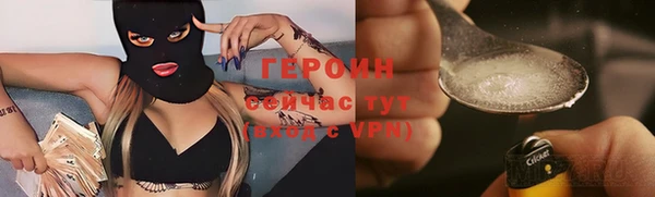 прущие грибы Михайлов