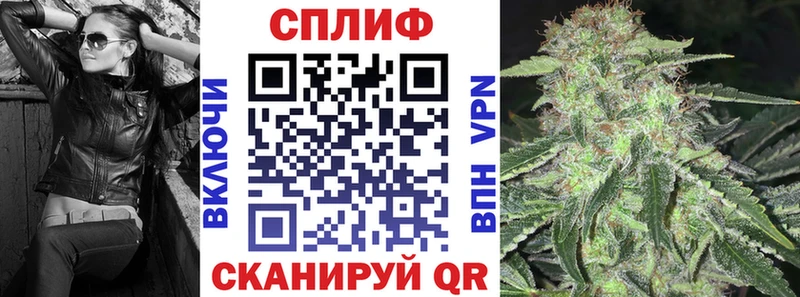 Конопля VHQ купить наркотики цена Кировград
